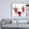 Trademark Fine Art Philippe Hugonnard 'Made in Spain 3 Pink Pots Wall' Canvas Art, 24x24 PH01444-C2424GG